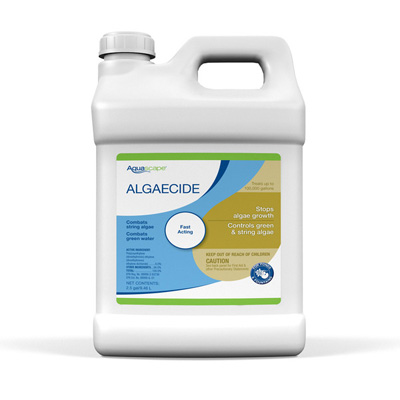 96053 Algaecide - 2.5 gal